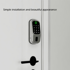 FL-7 Tuya keyless digital door lock for bedroom