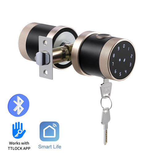 FL-D06 TTlock App Round Knob smart door lock