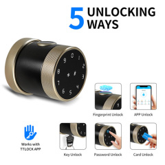 FL-D06 TTlock App Round Knob smart door lock