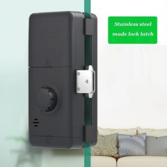 Tuya App Digital keyless biometric fingerprint keypad sliding smart glass door lock