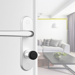 Zinc alloy Electronic Fingerprint BLE Door Lock Digital Smart Auto Door Lock Easy Installation