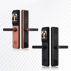 FL-H11C Smart App Fingerprint Semi-automatic Door Lock with LCD Display