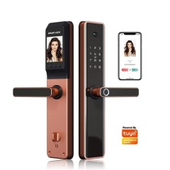 FL-H11C Smart App Fingerprint Semi-automatic Door Lock with LCD Display