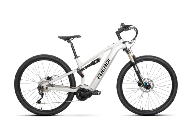 Fuerdi Mountain Bike Y22047