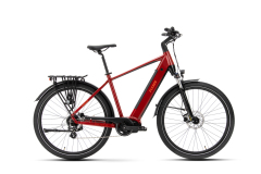 Fuerdi Electric Trekking Bike 22004