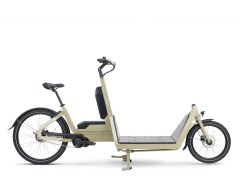Fuerdi Cargo Bike Y22080