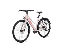Fuerdi Trekking Bike Y23012