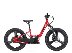 Fuerdi Kids Bike Y22024
