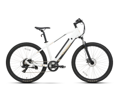Fuerdi Mountain Bike Y22091