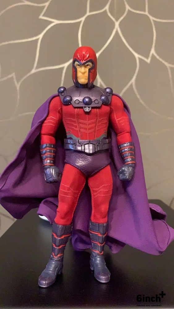 Magneto X-MEN purple trunks