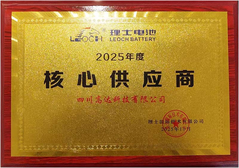 稳定的QCS运行-获得核心供应商荣誉奖牌实拍图