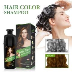 Zippy Color 3 in 1 Argan Oil Hair Dye Shampoo-Golden Brown,Zippy Color 3 in 1 Argan Oil Hair Dye Shampoo-Black,Guangdong Mingli Biomedical Technology Co., Ltd.