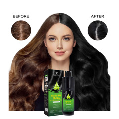 Zippy Color Olive Black Hair Shampoo - Premium Hair Dye Shampoo with Olive Extract for Vibrant, Healthy Hair Color,Zippy Color Permanent Black Hair Dye Shampoo with Olive Extract,Guangdong Mingli Biomedical Technology Co., Ltd.