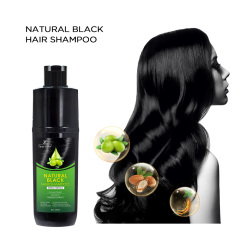 Zippy Color Olive Black Hair Shampoo - Premium Hair Dye Shampoo with Olive Extract for Vibrant, Healthy Hair Color,Zippy Color Permanent Black Hair Dye Shampoo with Olive Extract,Guangdong Mingli Biomedical Technology Co., Ltd.