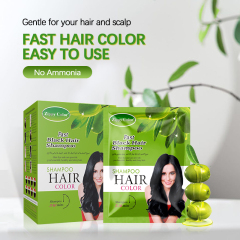 Zippy Color Fast Black Hair Shampoo Ammonia-Free Plant Dye 5-10 Mins,Zippy Color Fast Black Hair Shampoo Ammonia-Free Plant Dye 5-10 Mins,Guangdong Mingli Biomedical Technology Co., Ltd.