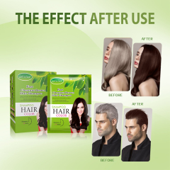 Zippy Color Chestnut Brown Hair Dye Shampoo Ammonia-Free Warm Reddish Brown,Zippy Color Chestnut Brown Hair Dye Ammonia-Free Warm Reddish Brown,Guangdong Mingli Biomedical Technology Co., Ltd.