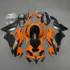 For KAWASAKI 2019 20 21 22 2320 2021 2022 2023 NINJA ZX6R 636 Free Custom Fairings ZX 6R Aftermarket Fairing Kit Injection Motorcycle
