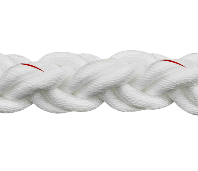 LESON NYLON