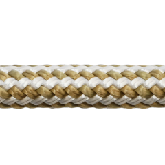LESON  NPDB