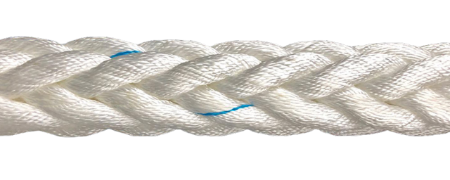 LESON POLYESTER