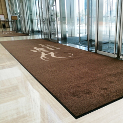 Doven™ Nylon Scraper & Dirt Control Mat,PAALER Mat