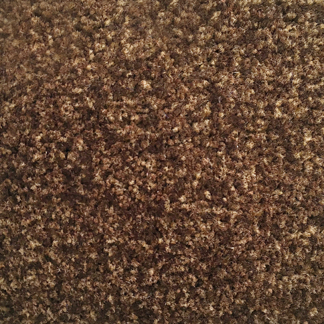 Doven™ Nylon Scraper & Dirt Control Mat,PAALER Mat