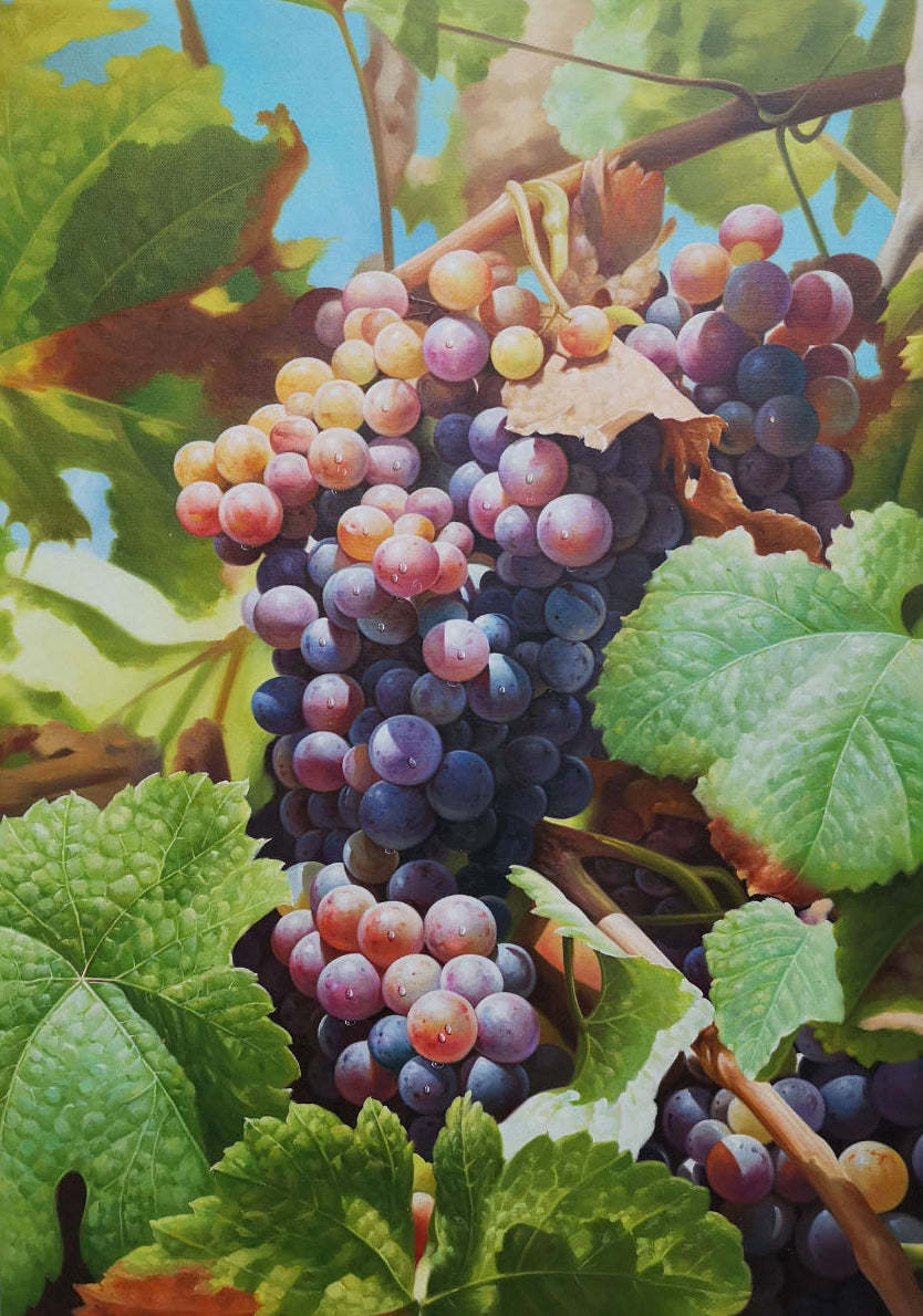 Hand-Painted Grape Oil Painting – Realistic Fruit Still Life Wall Art on Canvas 285R