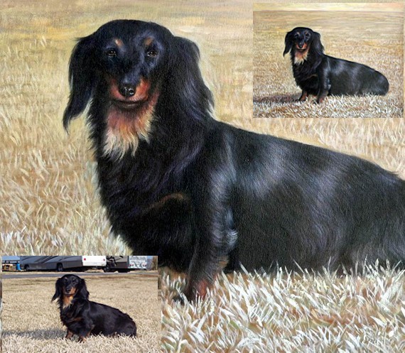 Custom Dog/Pet Oil Painting  from Photos | Photo to Oil Painting | Hand Painted Oil on Canvas