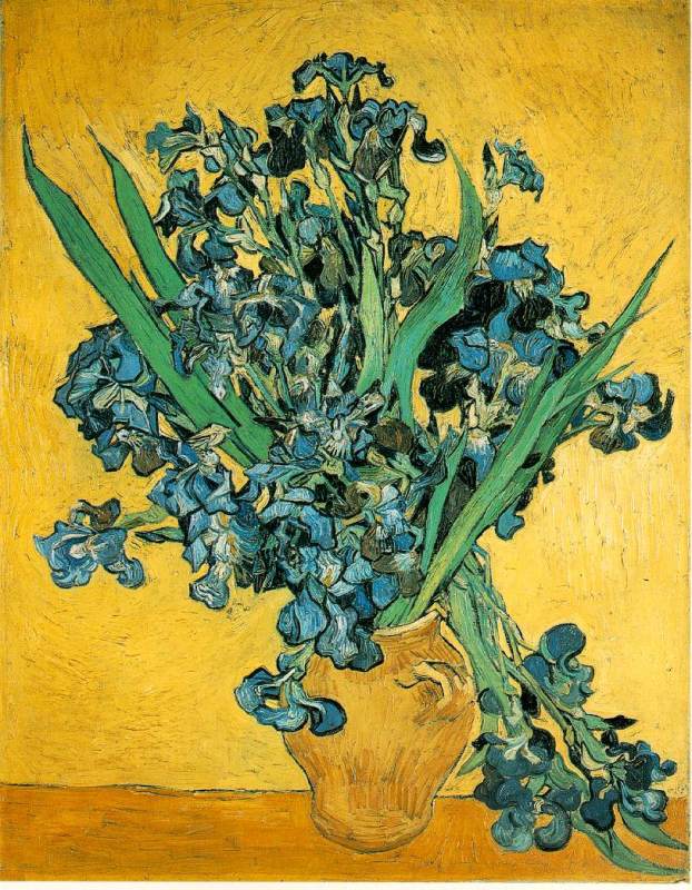 Irises  1890  by Vincent Van Gogh Oil Painting reproduction