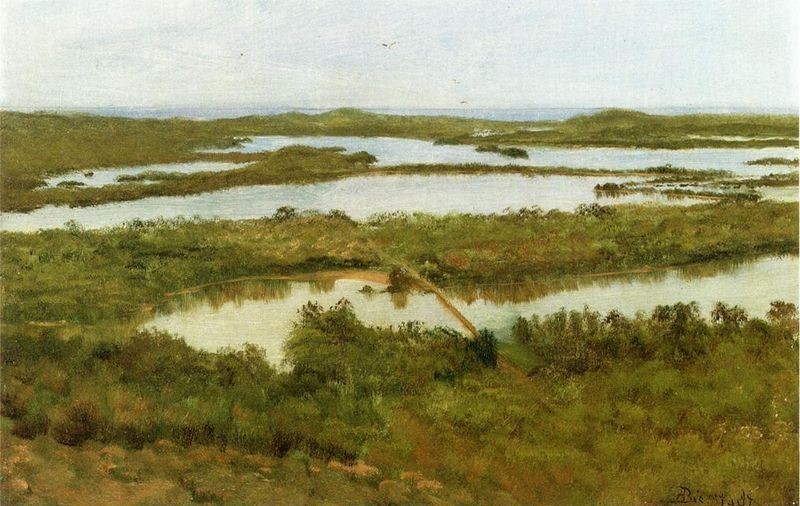 A River Estuary by Albert Bierstadt Oil Painting reproduction