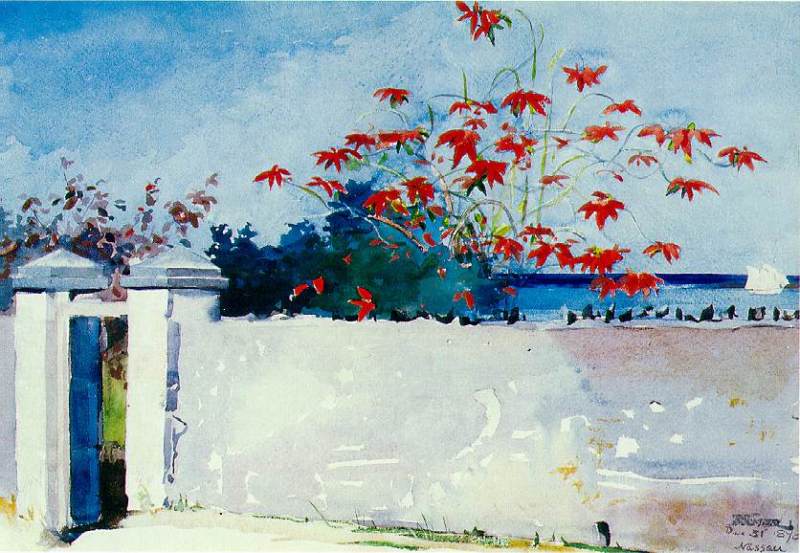 A Wall, Nassau  1898 by Winslow Homer Oil Painting reproduction
