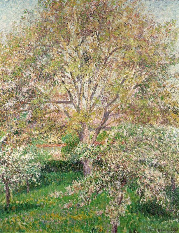 The Walnut and Apple Trees in Bloom at Eragny  1895   by  Camille Pissarro Oil Painting reproduction