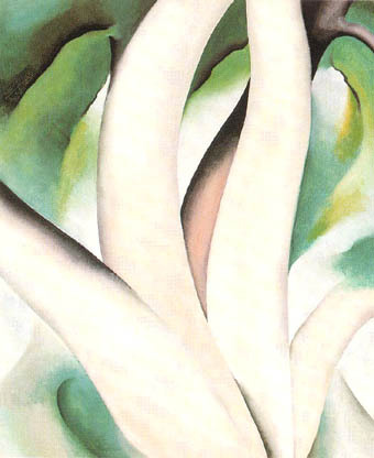 Birch Trees at Dawn on Lake George 1926 by Georgia O'Keeffe Oil Painting reproduction