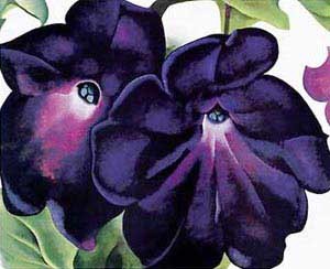 Black and Purple Petunias by Georgia O'Keeffe Oil Painting reproduction