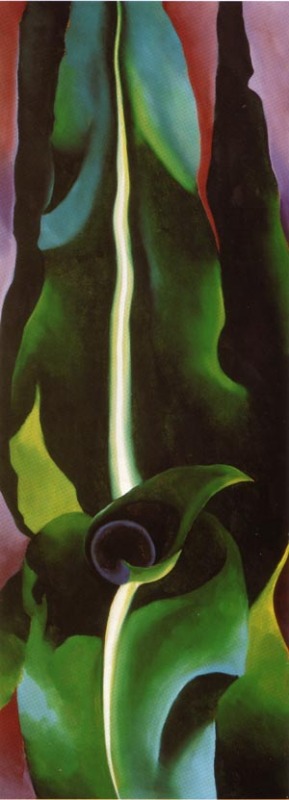 Corn Dark I 1924  by Georgia O'Keeffe Oil Painting reproduction