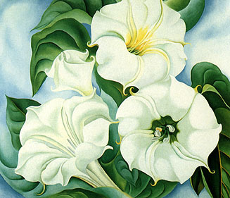 Jimson Weed 1936 by Georgia O'Keeffe Oil Painting reproduction