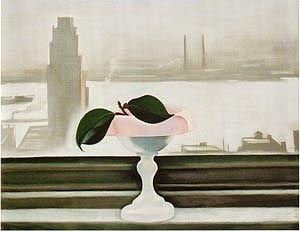 Pink Dish and Green Leaves 1928 by Georgia O'Keeffe Oil Painting reproduction