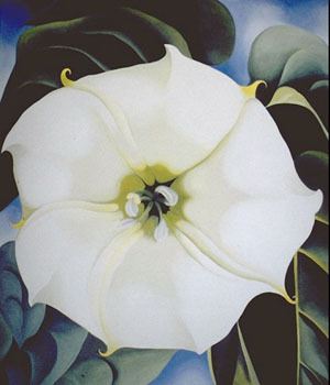 Single Jimson Weed by Georgia O'Keeffe Oil Painting reproduction