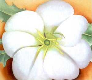 White Flower with Red Earth by Georgia O'Keeffe Oil Painting reproduction
