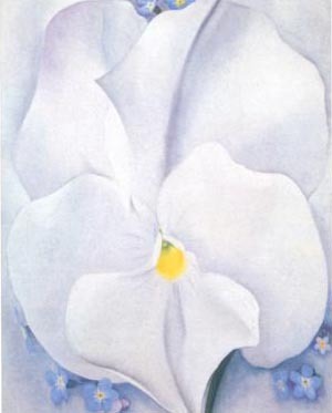  White Pansy 1927 by Georgia O'Keeffe Oil Painting reproduction