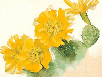 Yellow Cactus 1940 by Georgia O'Keeffe Oil Painting reproduction