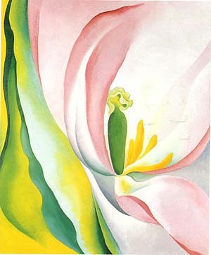 Pink Tulip 1926 by Georgia O'Keeffe Oil Painting reproduction