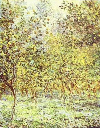 Lemon-Trees. Bordighera. 1884 by  Claude Monet Oil Painting reproduction