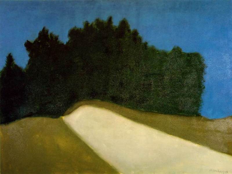 Dark forest  by Milton Avery Oil Painting reproduction