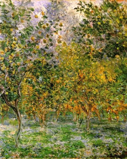 Under the Lemon Trees  by  Claude Monet Oil Painting reproduction