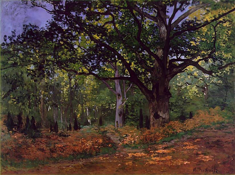 The Bodmer Oak, Fontainebleau Forest  1865  by  Claude Monet Oil Painting reproduction