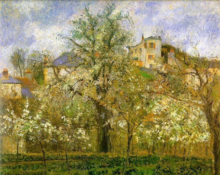 Kitchen Garden with Trees in Flower, Pontoise, 1877 by Camille Pissarro Oil Painting reproduction