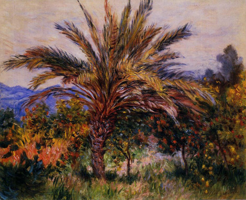 A Palm Tree at Bordighera 1884 by Claude Monet Oil Painting reproduction