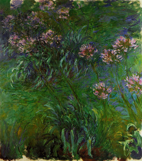 Agapanathus 1914-1917 by Claude Monet Oil Painting reproduction