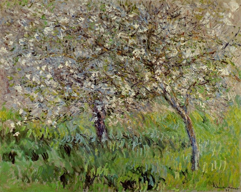 Apple Trees in Bloom at Giverny 1900-1901  by Claude Monet Oil Painting reproduction
